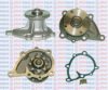 AQUAPLUS 85-4290 Water Pump